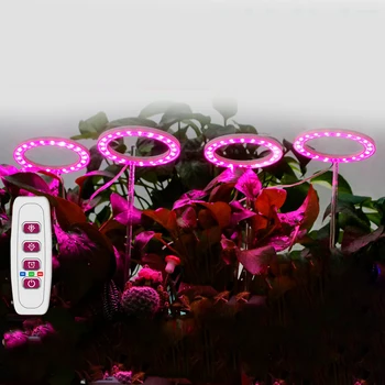 Yeni Beş Hızlı Karartma Zamanlama Lambası Led Sera Çiçek Tohumu Bitki Büyüme Lambası Kapalı Tam Spektrum Etli Bitki dolgu ışığı